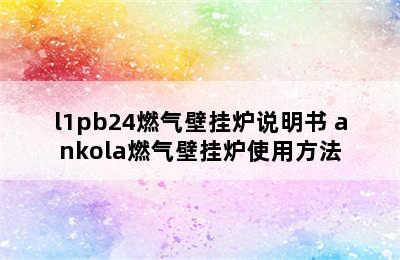 l1pb24燃气壁挂炉说明书 ankola燃气壁挂炉使用方法